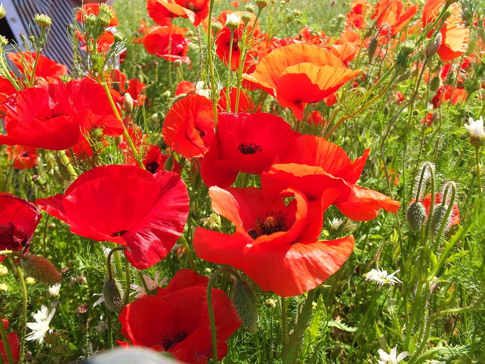 Фотография автора Татьяна Мишкина