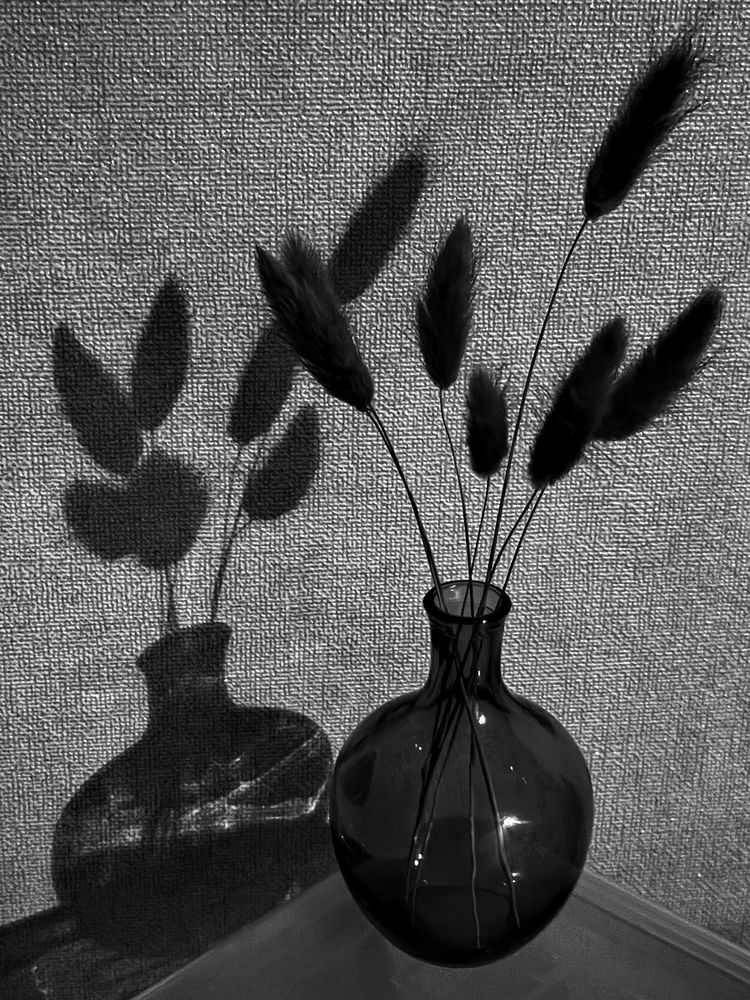Photograph by Елена Чулюнина