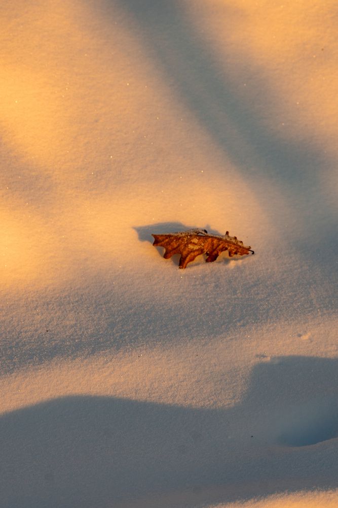 Photograph by Евгений Калагаев