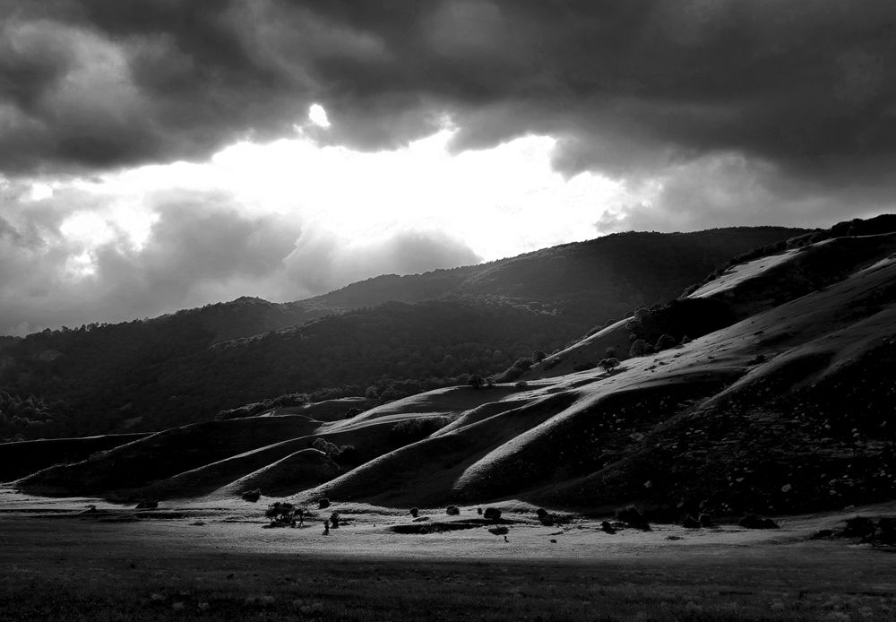 Photograph by Ольга Стоун