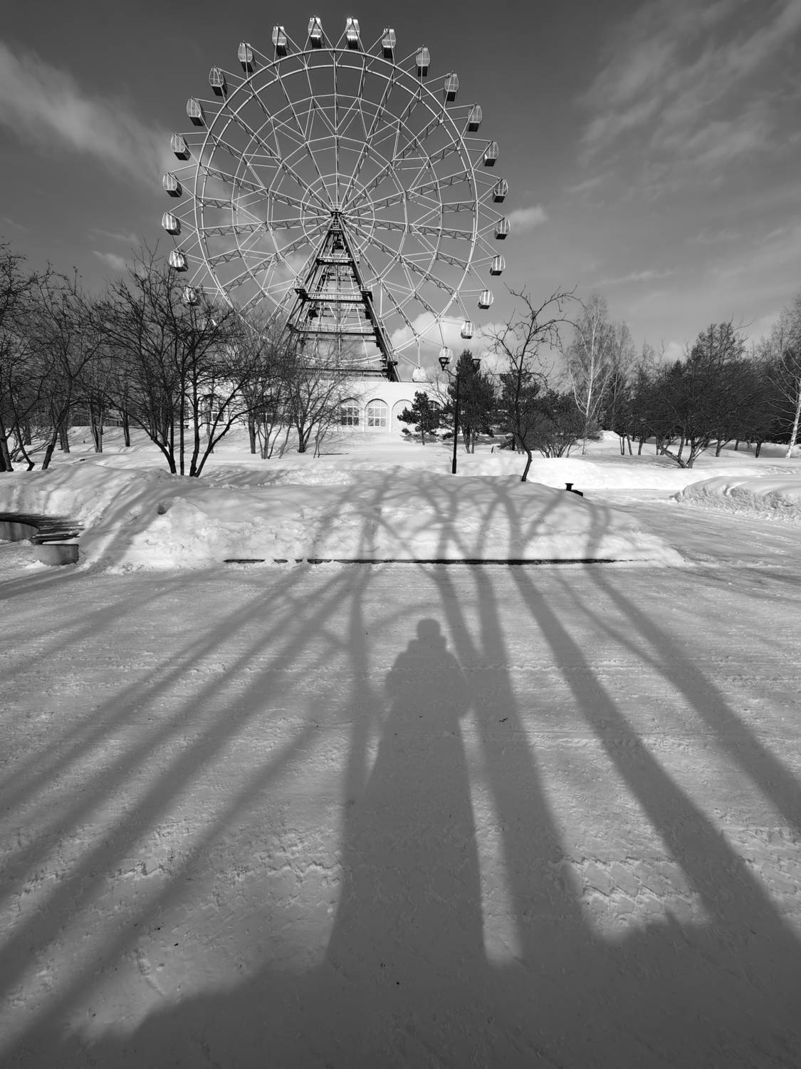 В тени деревьев у чёртова колеса