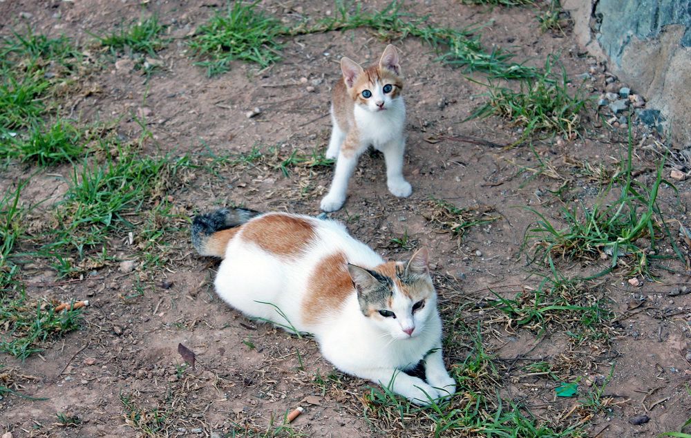 Photograph by Александр Бугаенко