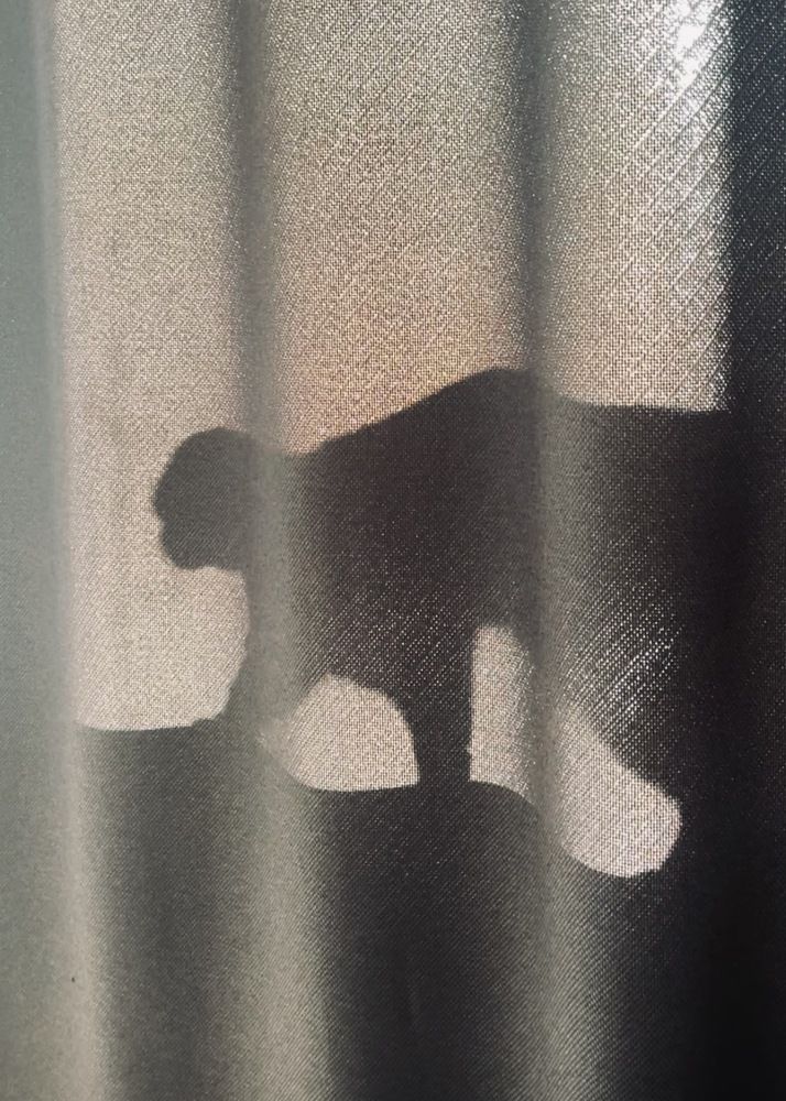 Photograph by Ольга Белоусова