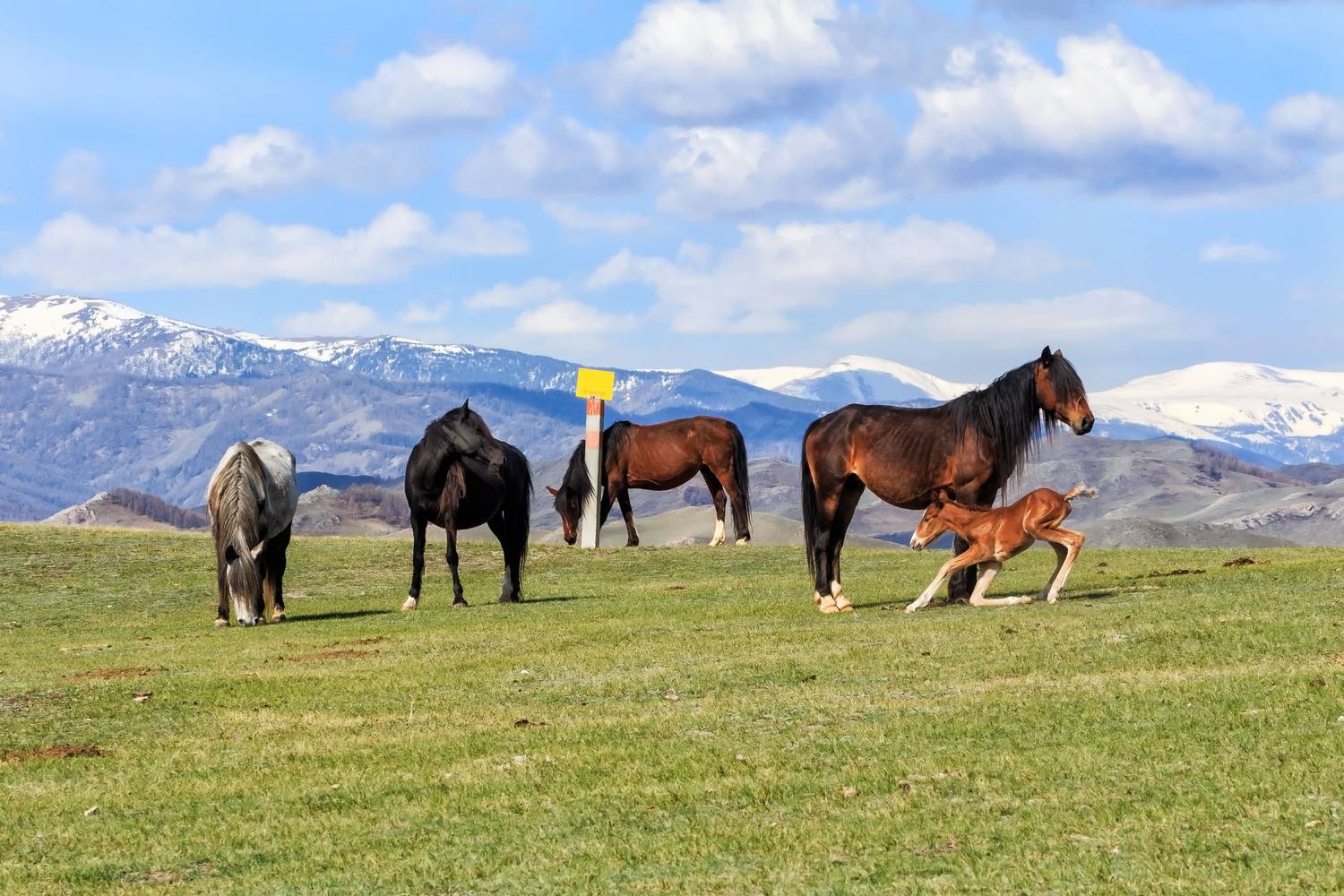 Фотография #13453602