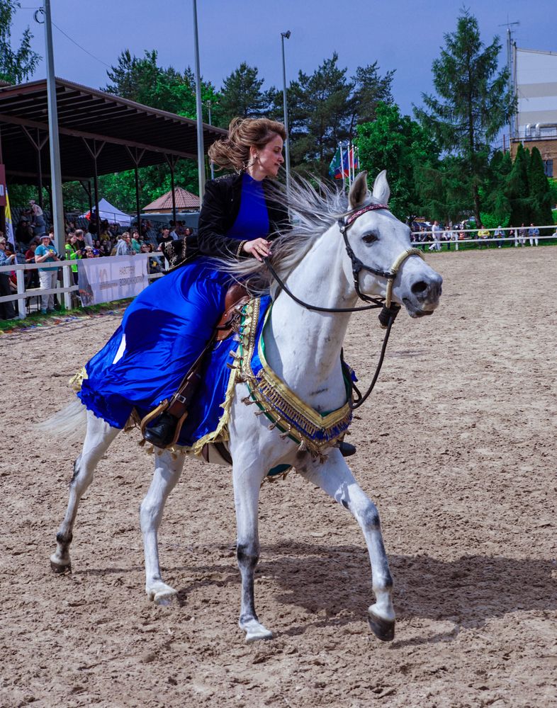 наездница на арабском скакуне