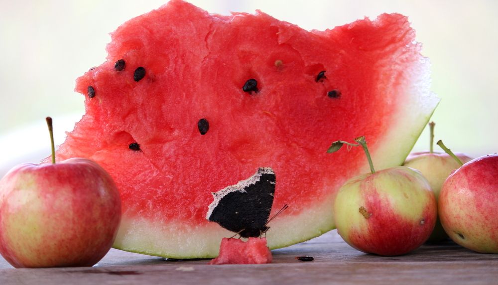 Photograph by Жанна Нечаева