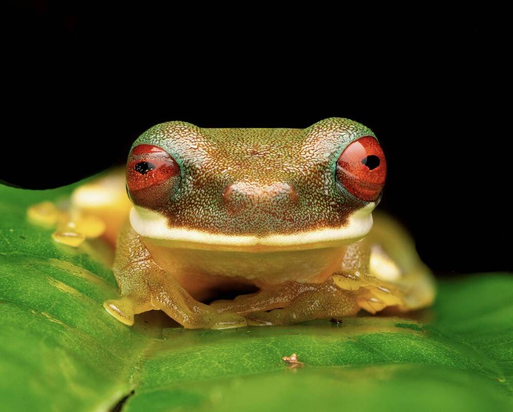 Photograph by Eduardo Salvador Cabrera