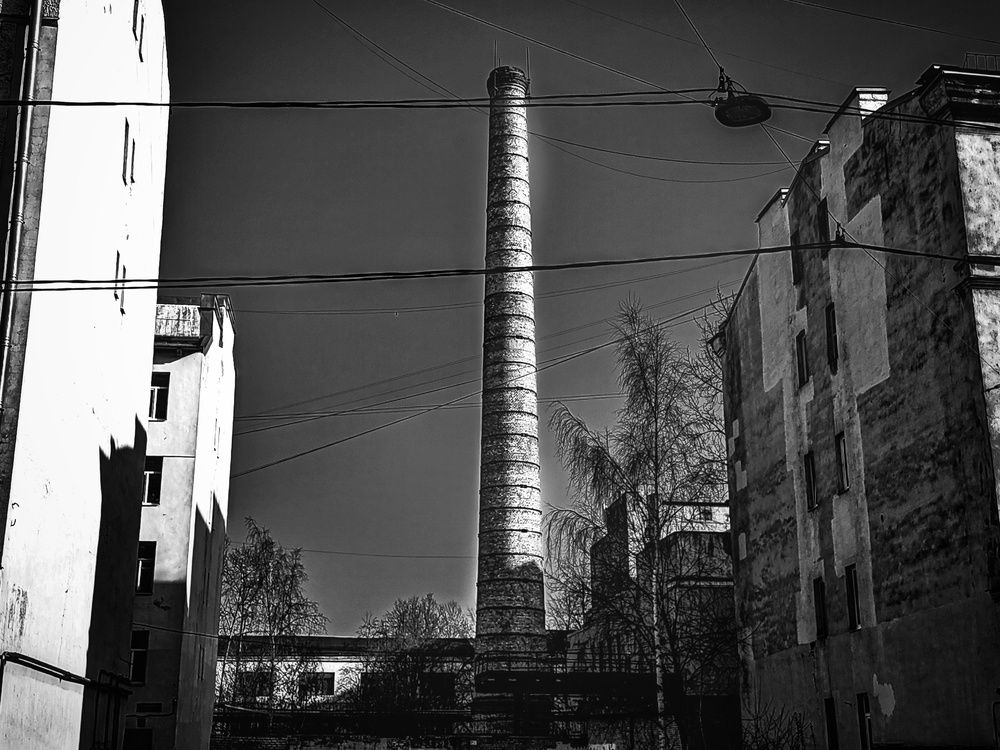 Photograph by Дайана