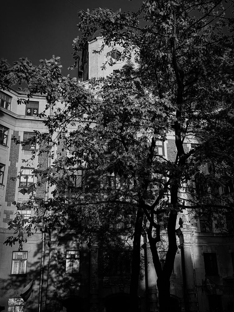 Photograph by Дайана