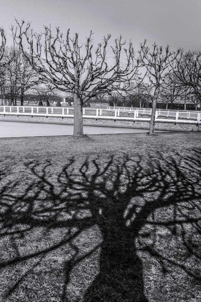 Photograph by Сергей Григорьев