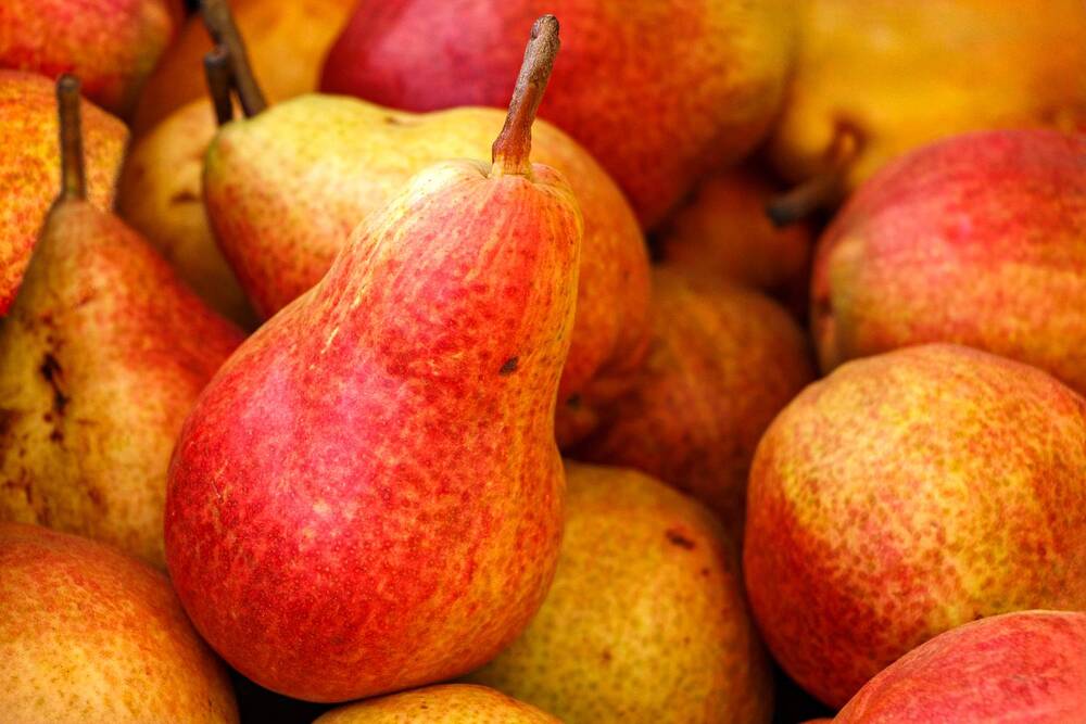 Photograph by Nadezhda Khrustaleva