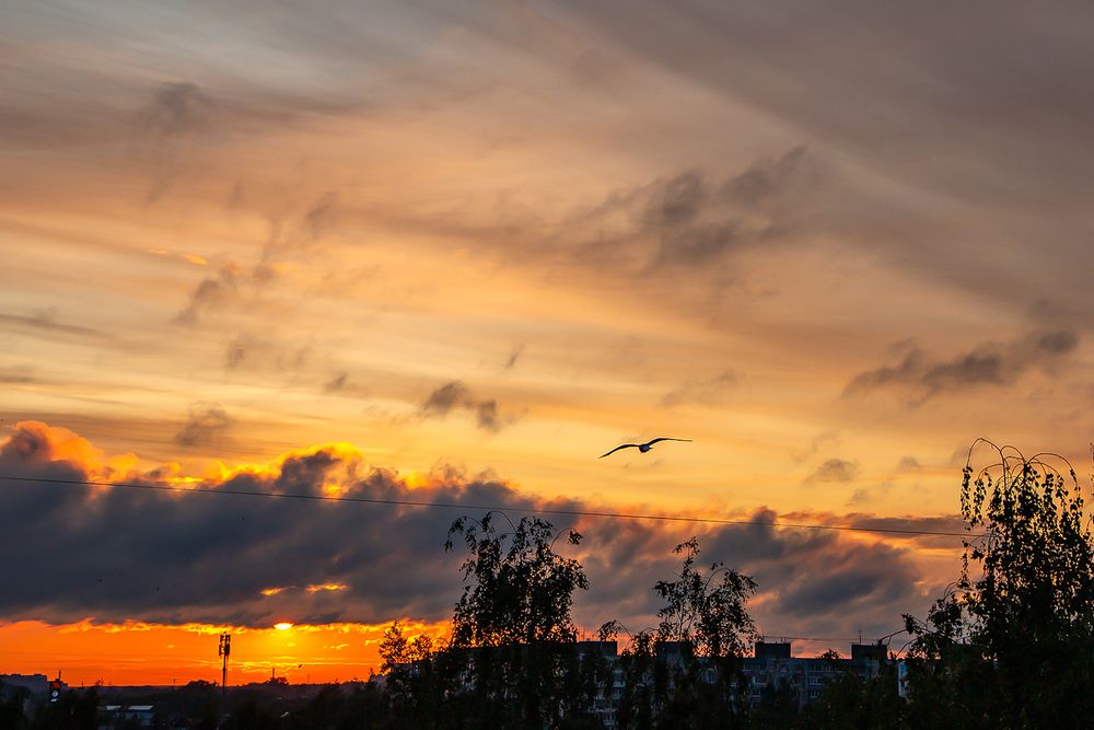 Photograph by Nadezhda Khrustaleva