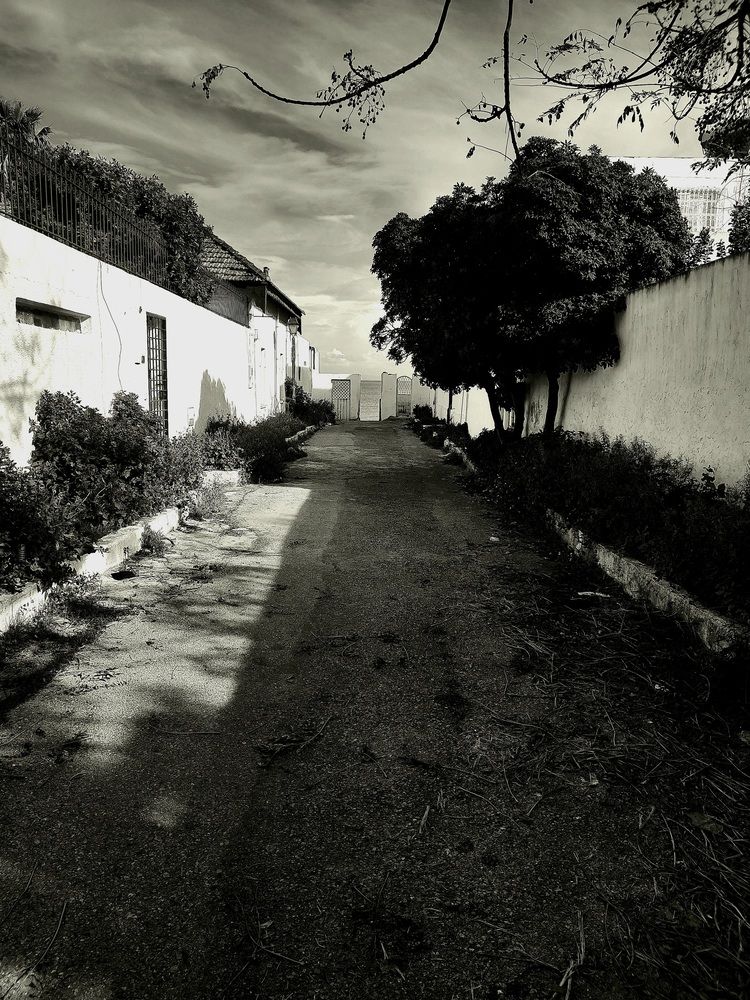 Photograph by chokri hamboussi