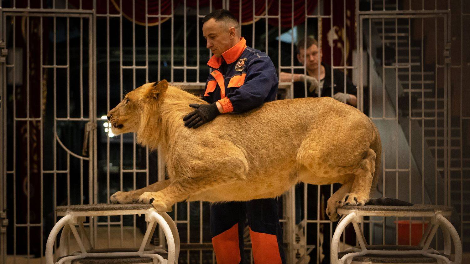 Фотография #13453782