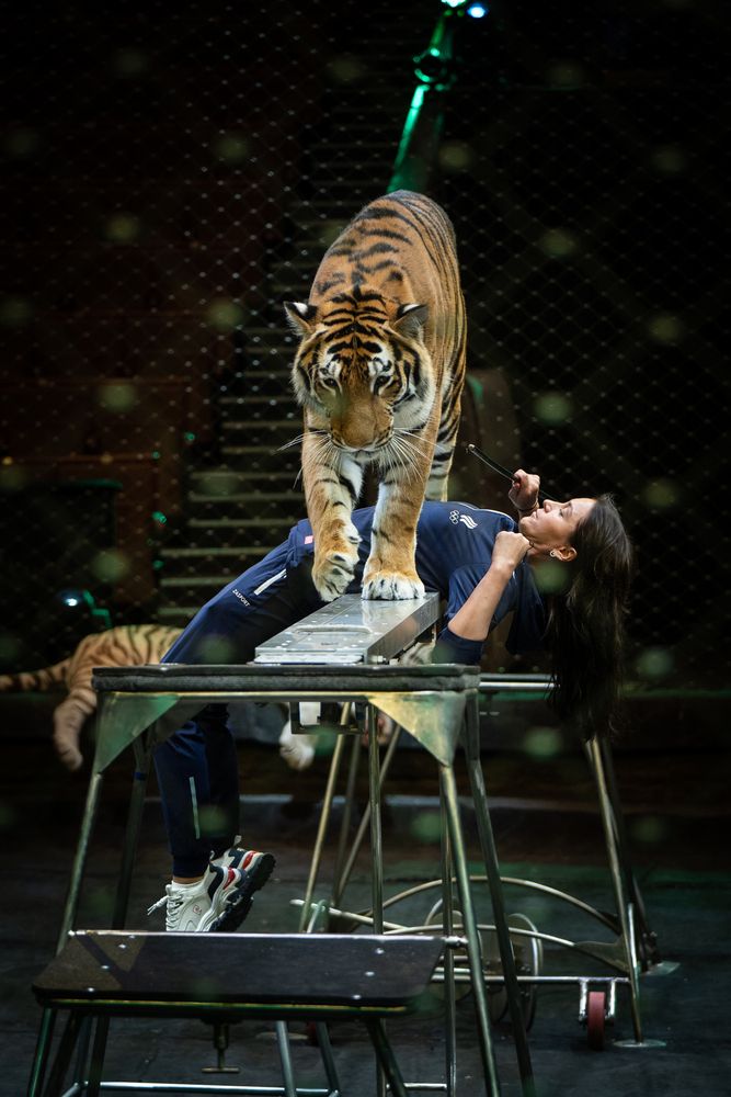 Фотография автора Ольга Пачина