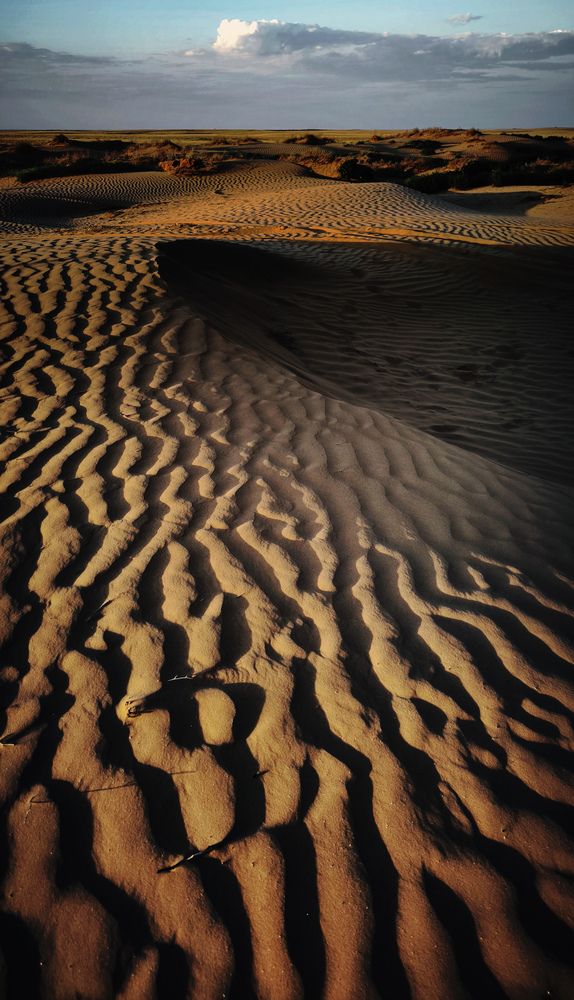 Photograph by Ольга Стоун