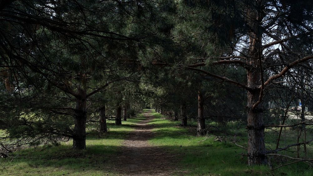 Photograph by Margarita Teterkina
