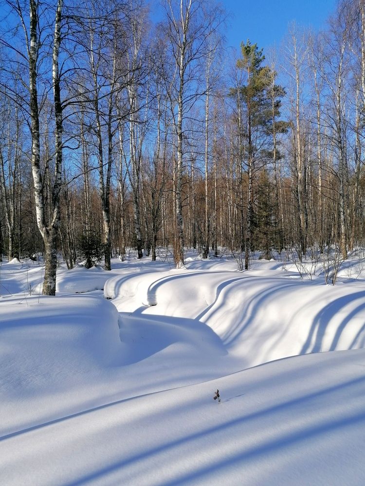 Весенняя полосатость