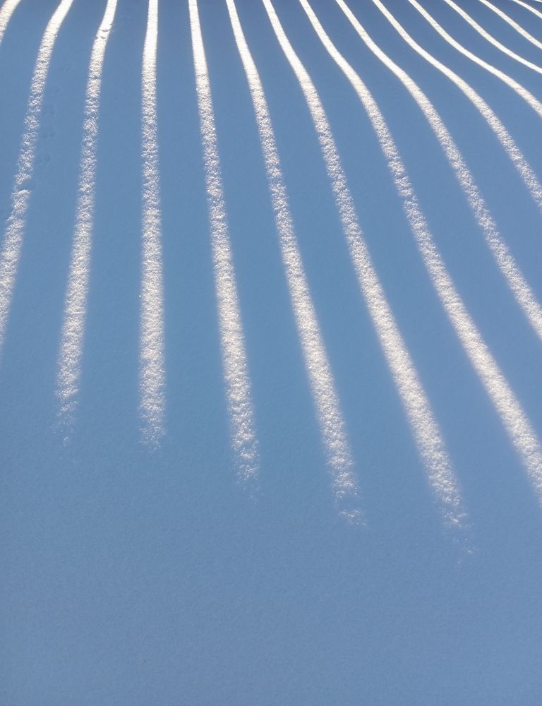 Photograph by Елена Коробченко