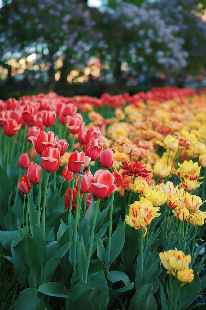 Photograph by Аида Фай