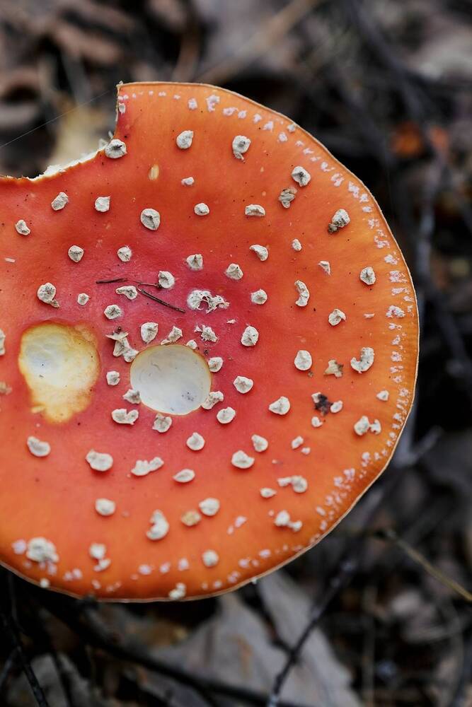 Photograph by Аида Фай