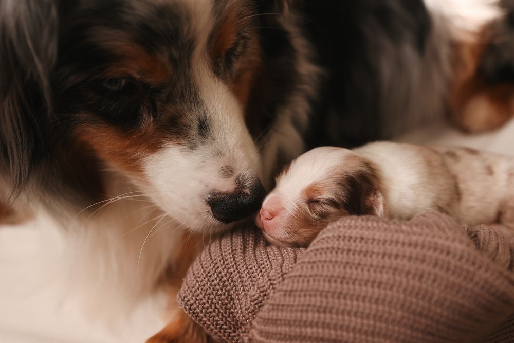Photograph by Анна Майорова