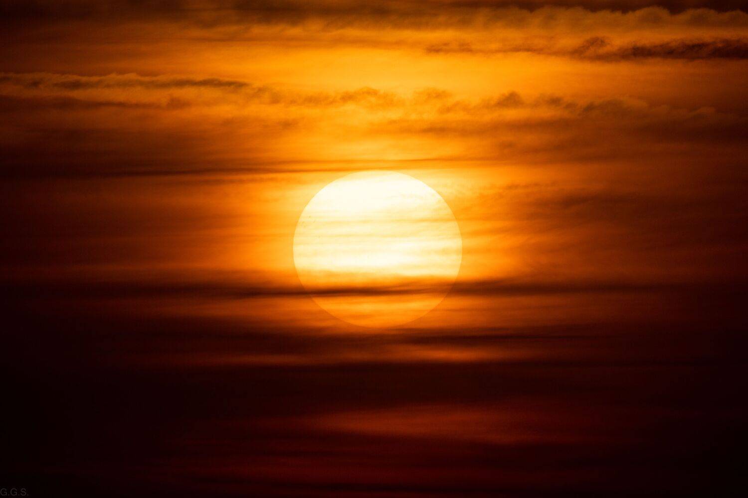 Фотография #13453929