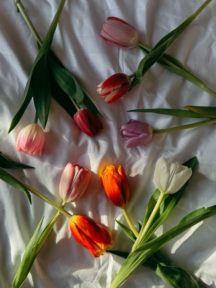 Photograph by Наталья Чехова