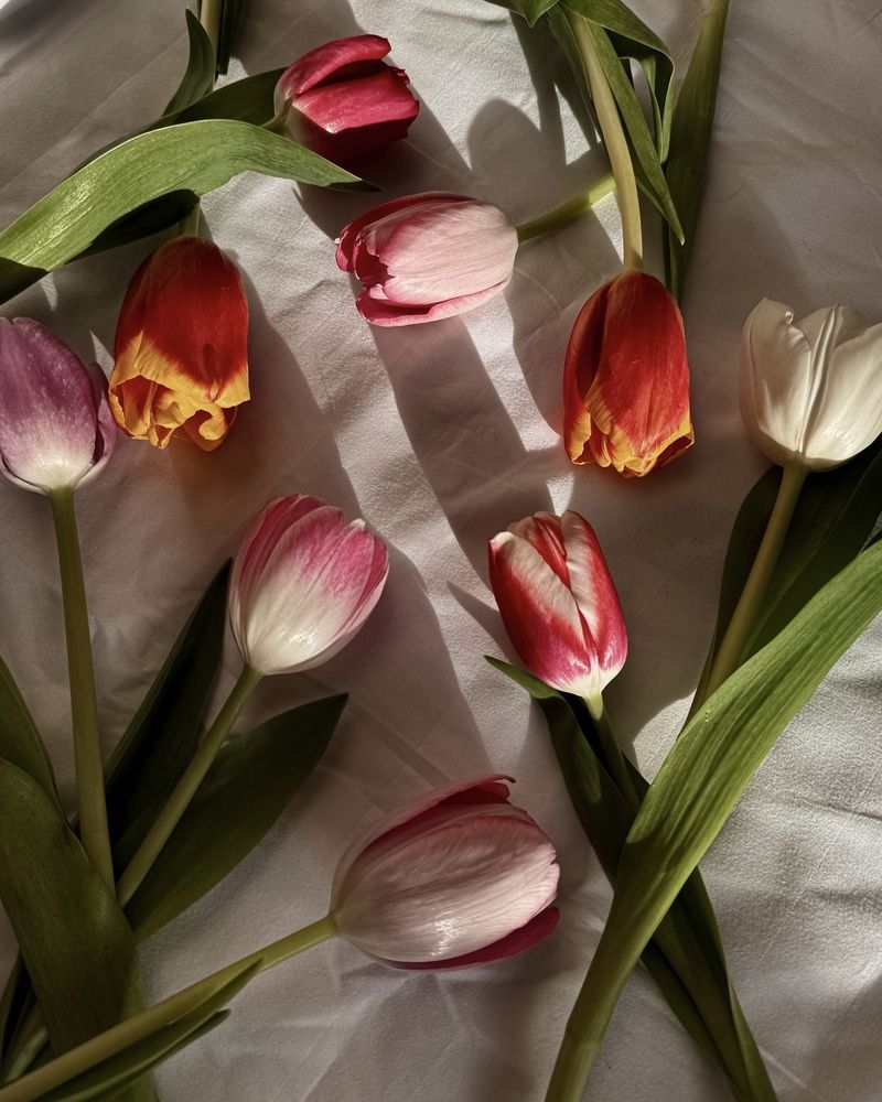 Photograph by Наталья Чехова