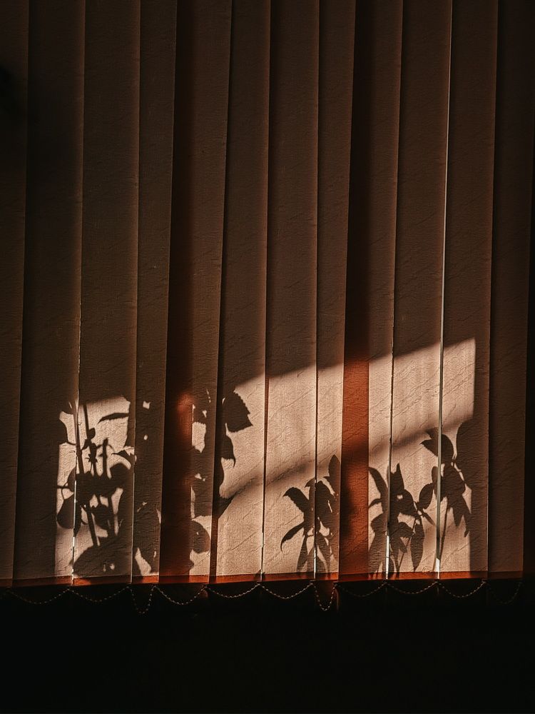 Photograph by Анна Пигулевская