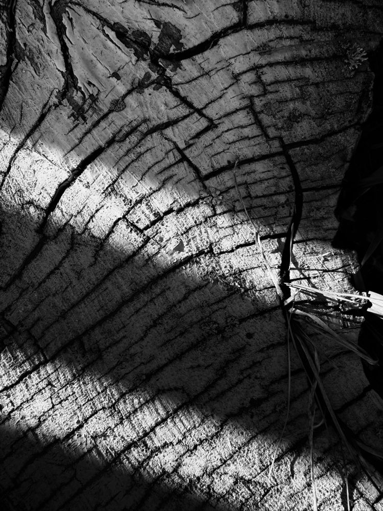 Photograph by Анна Пигулевская