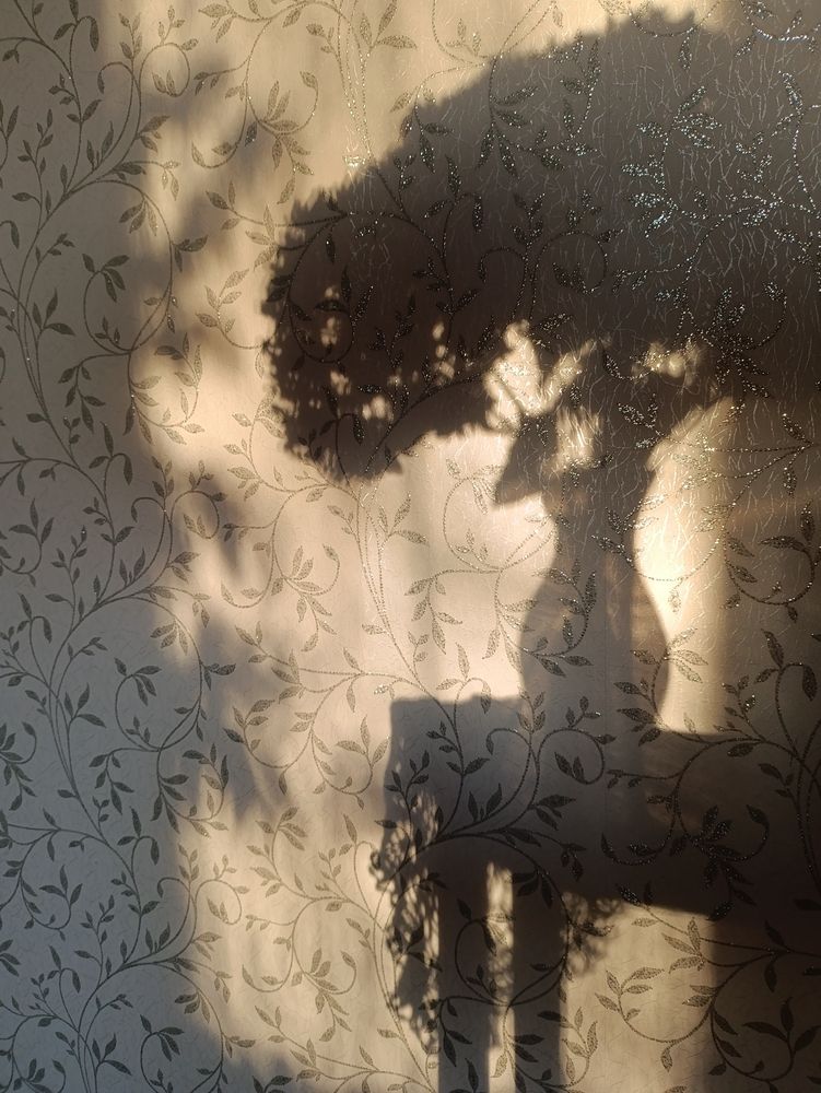 Photograph by Екатерина Одинцова