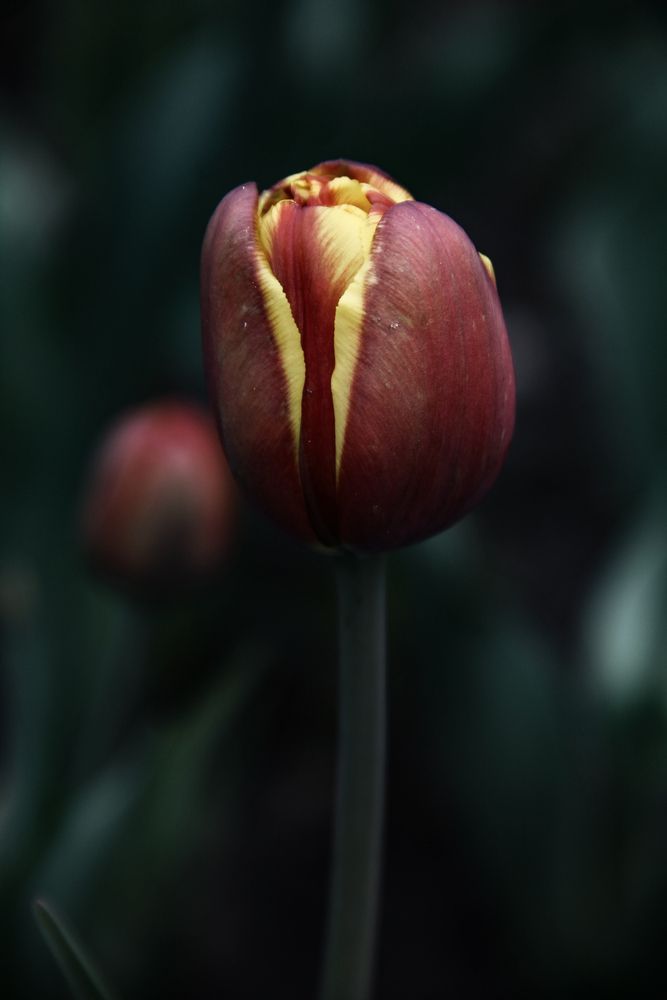 Photograph by Анастасия Псарёва