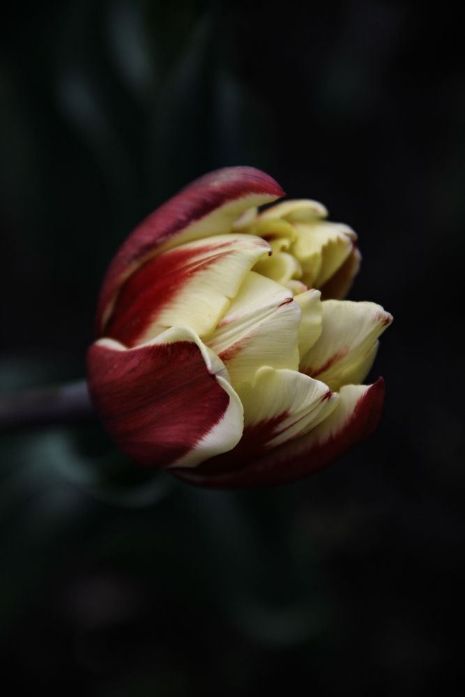 Photograph by Анастасия Псарёва