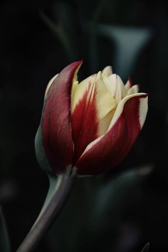 Photograph by Анастасия Псарёва