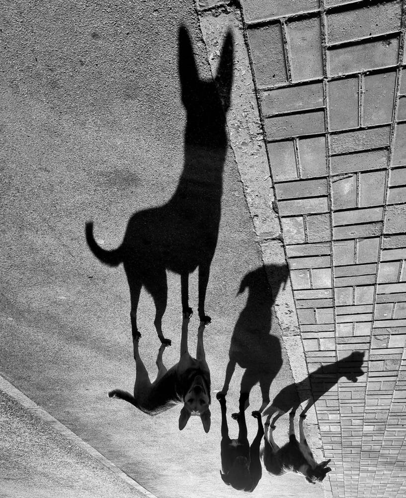 Photograph by George Pavlov