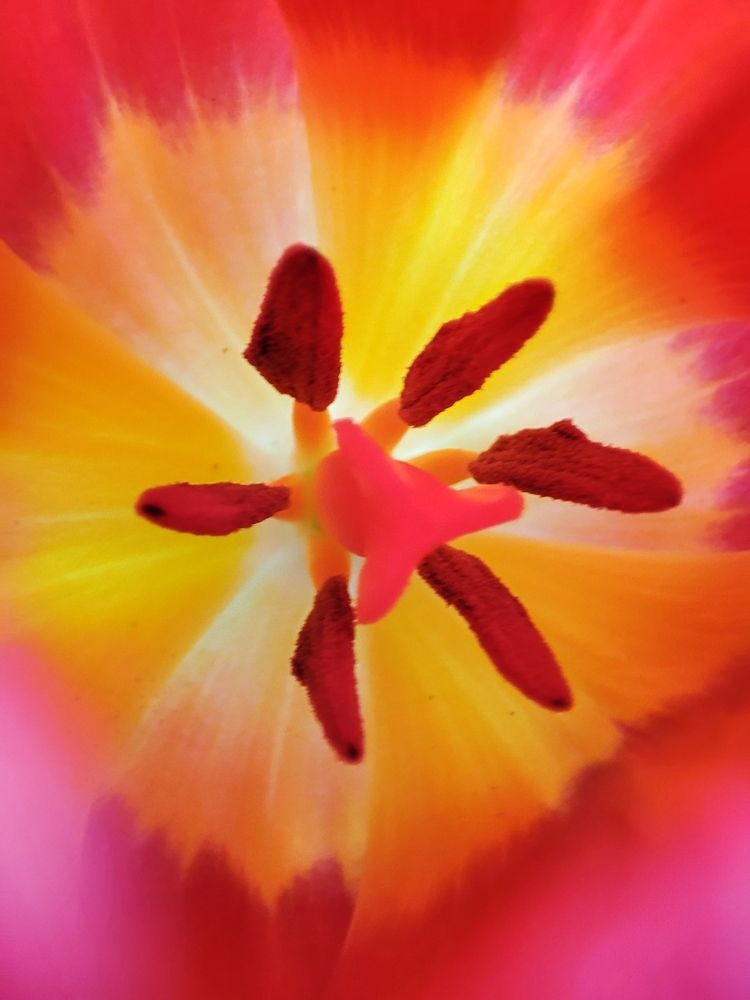 Photograph by Ирина К.
