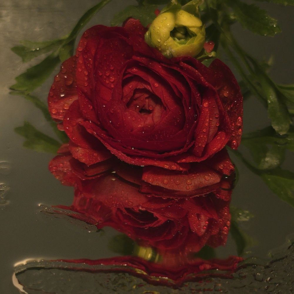 Photograph by Irina Krasnopevzeva