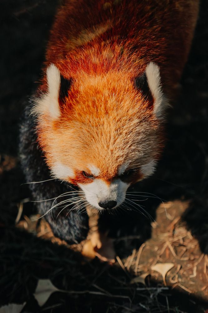 Photograph by Егор Голубкин