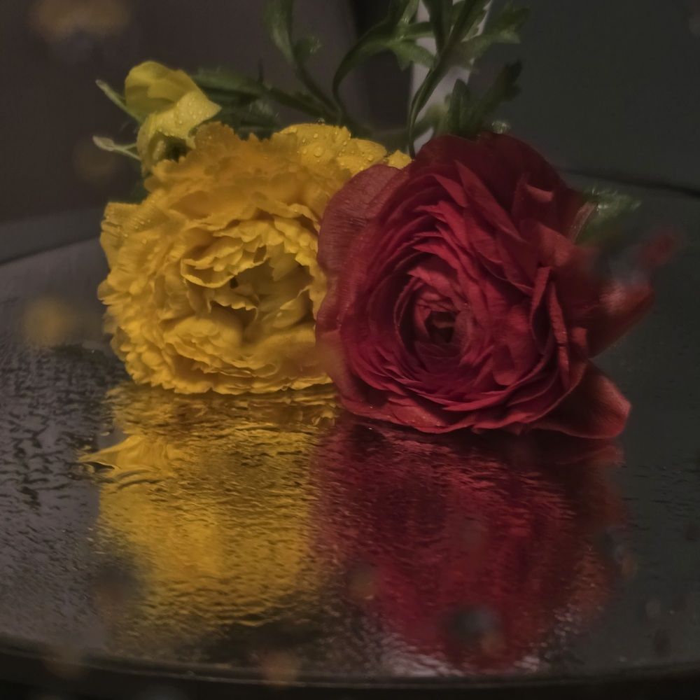 Photograph by Irina Krasnopevzeva