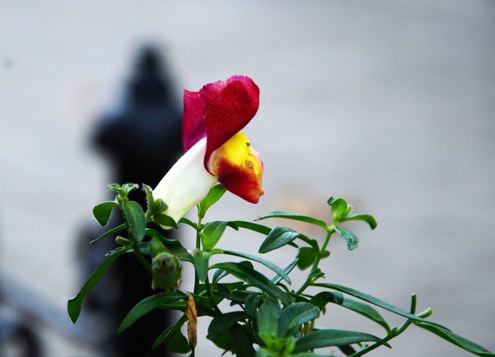 Photograph by Ольга МИхайлова