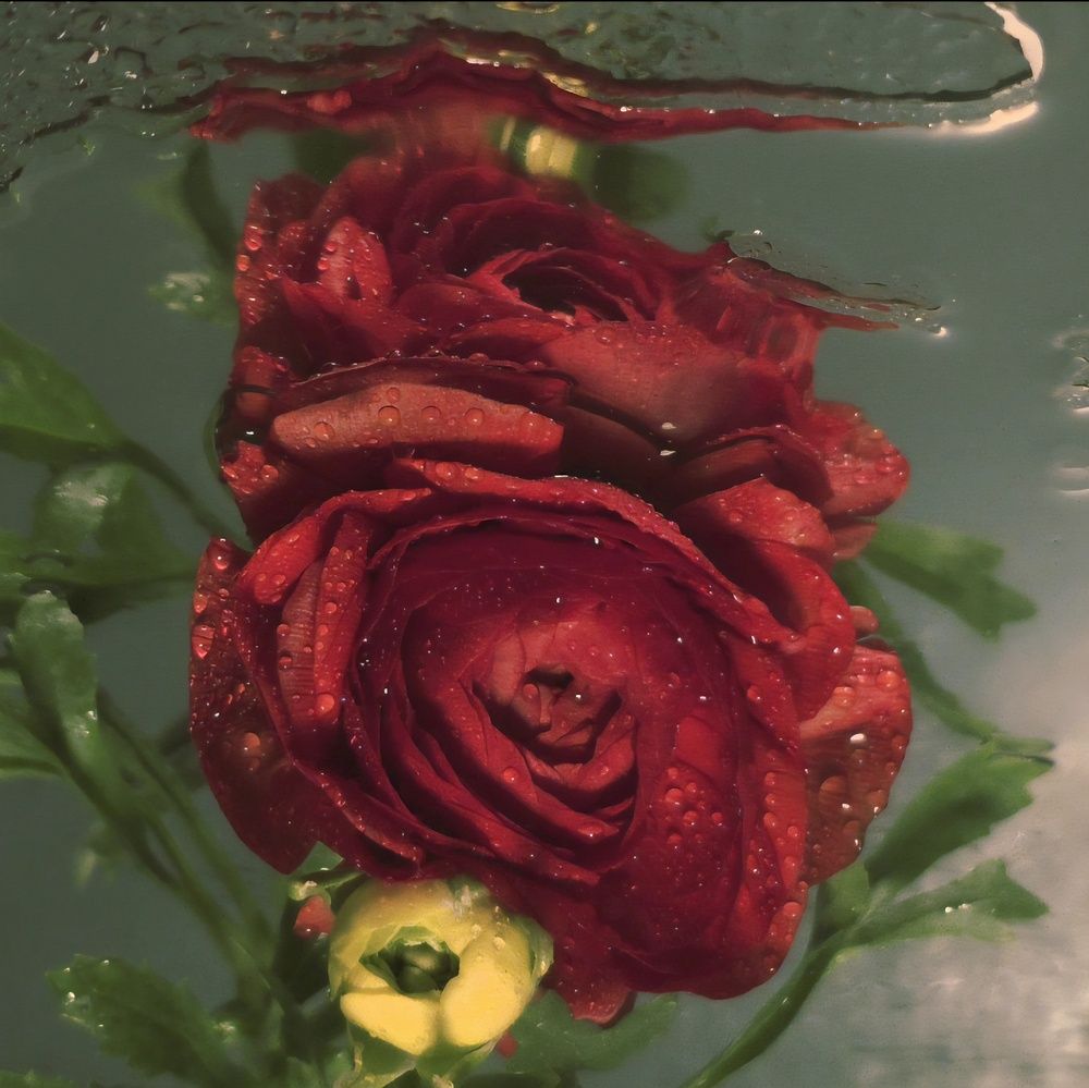 Photograph by Irina Krasnopevzeva