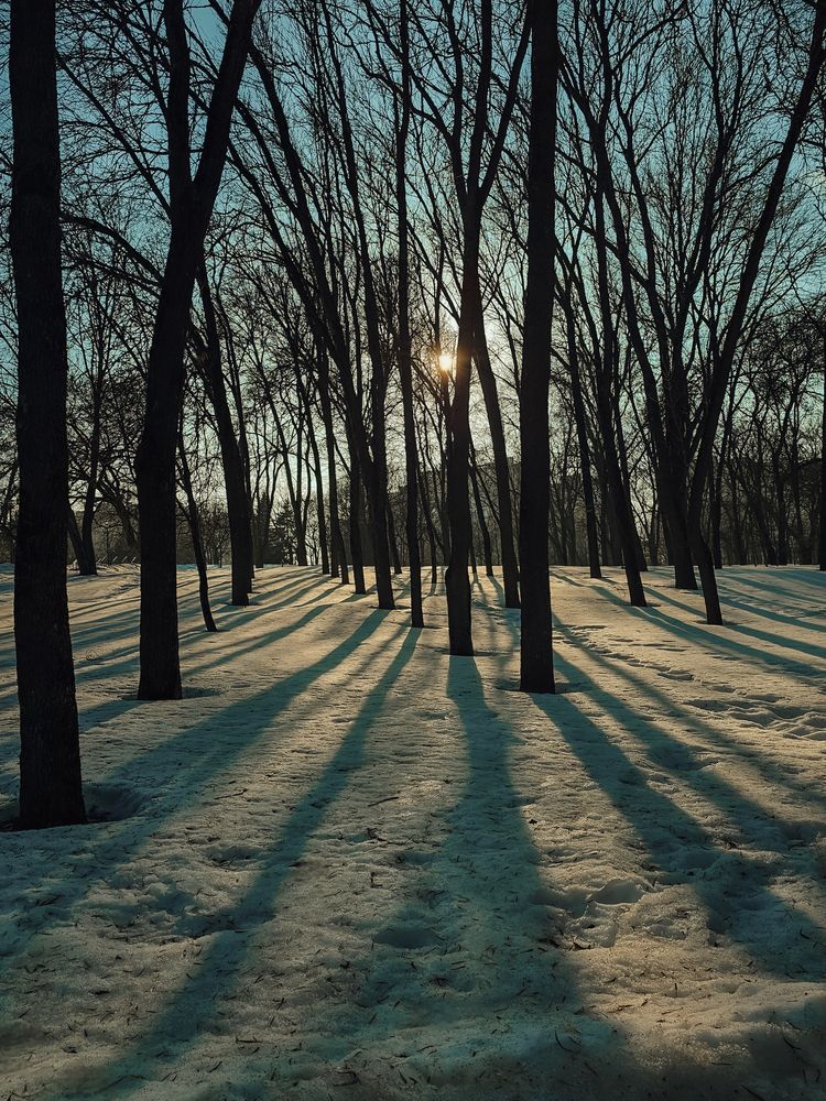 Photograph by Екатерина Сенько