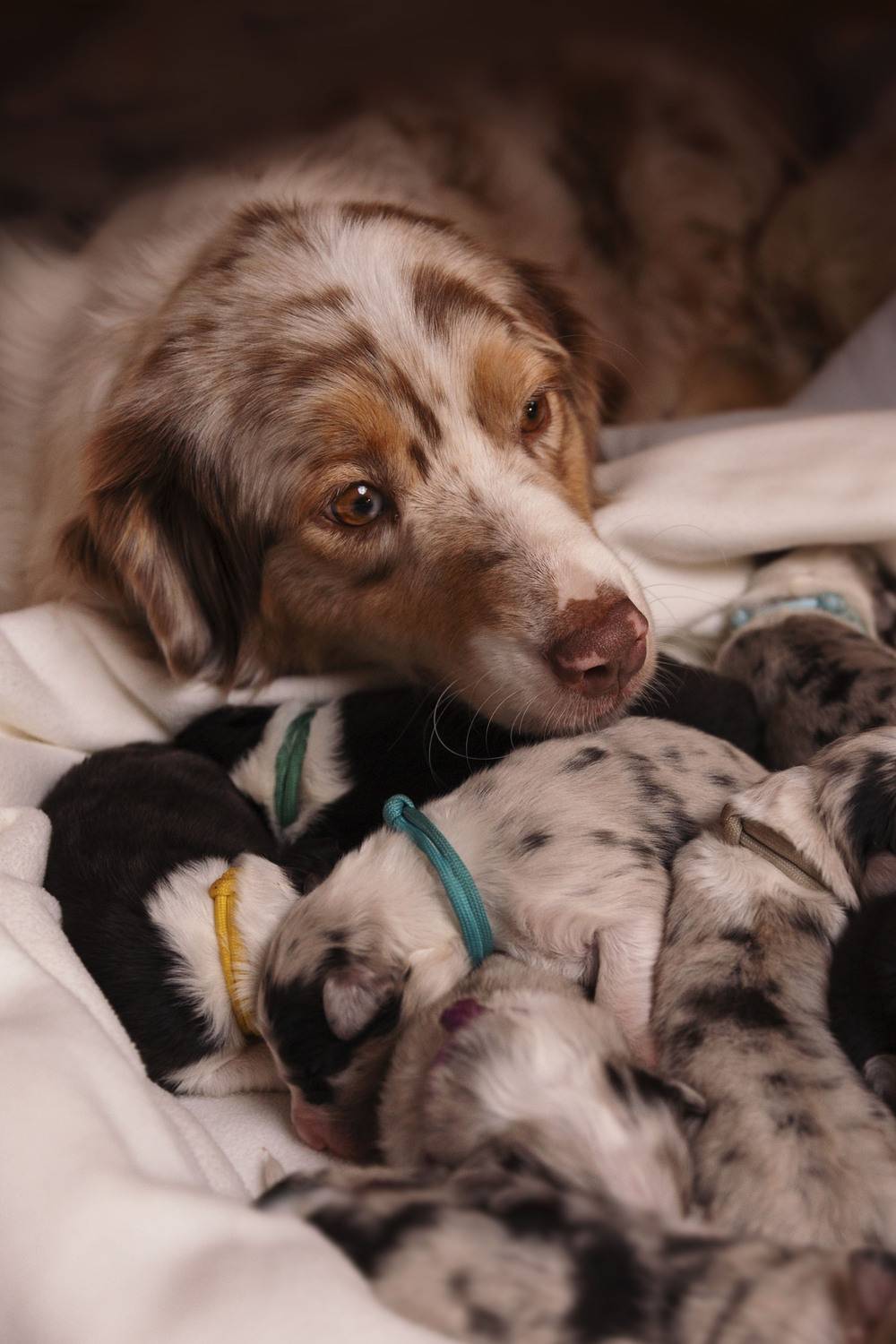 Фотография #13454219