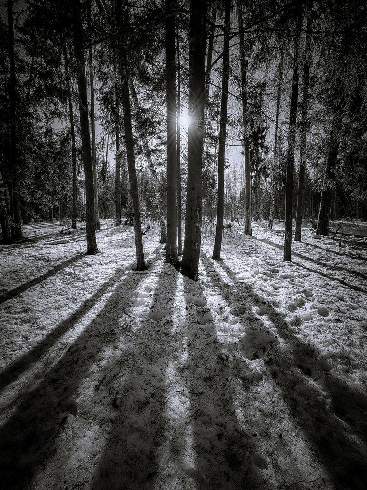 Photograph by Александр Хухлов