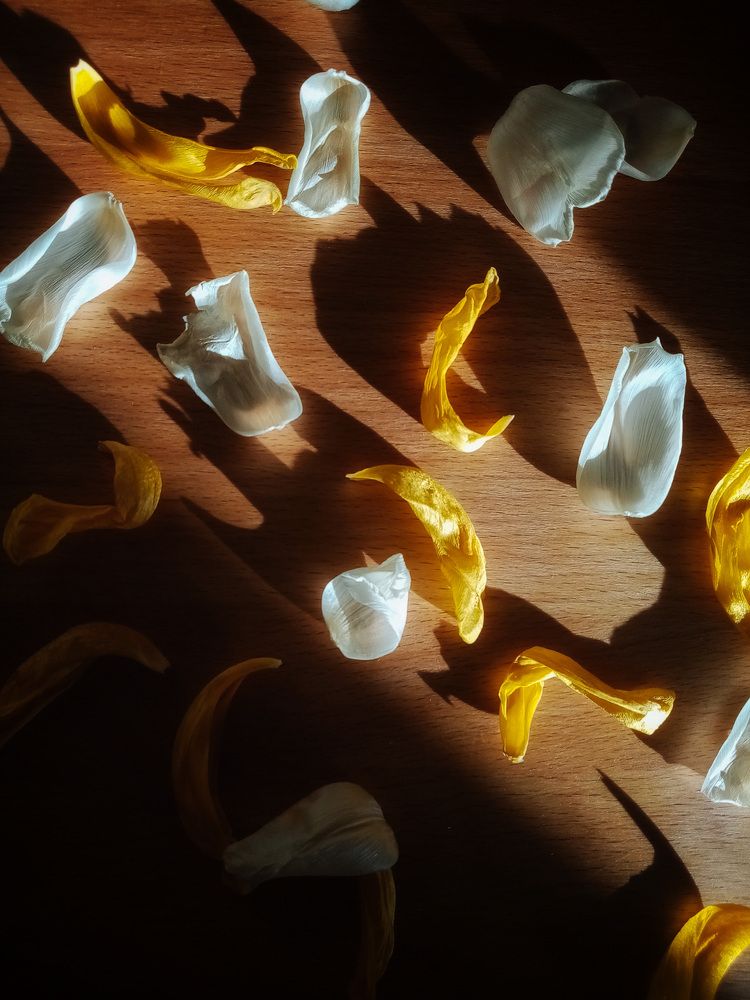 Photograph by Ольга Таланцева