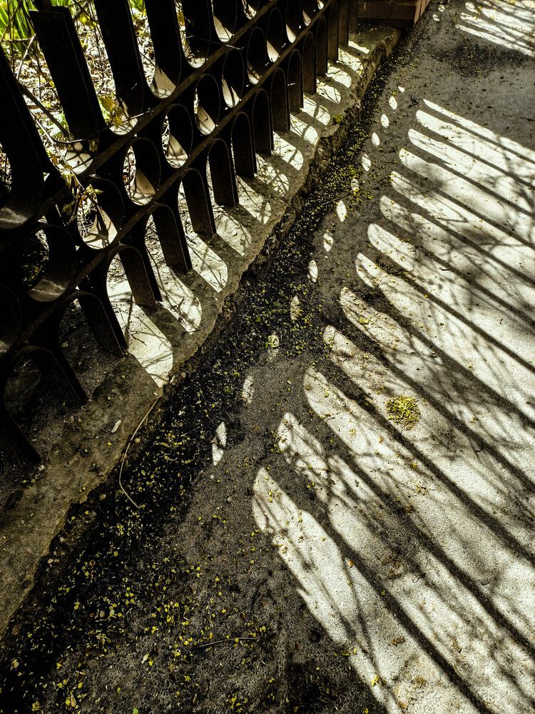 Фотография автора Наталия Козлова