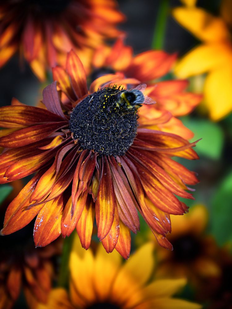 Photograph by Светлана Ващенко