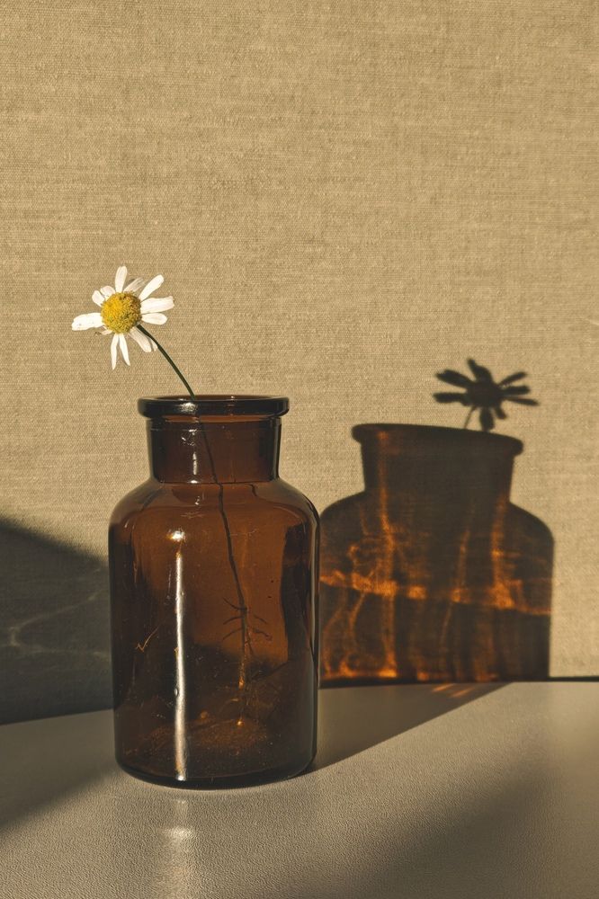 Photograph by Ольга Стебенева