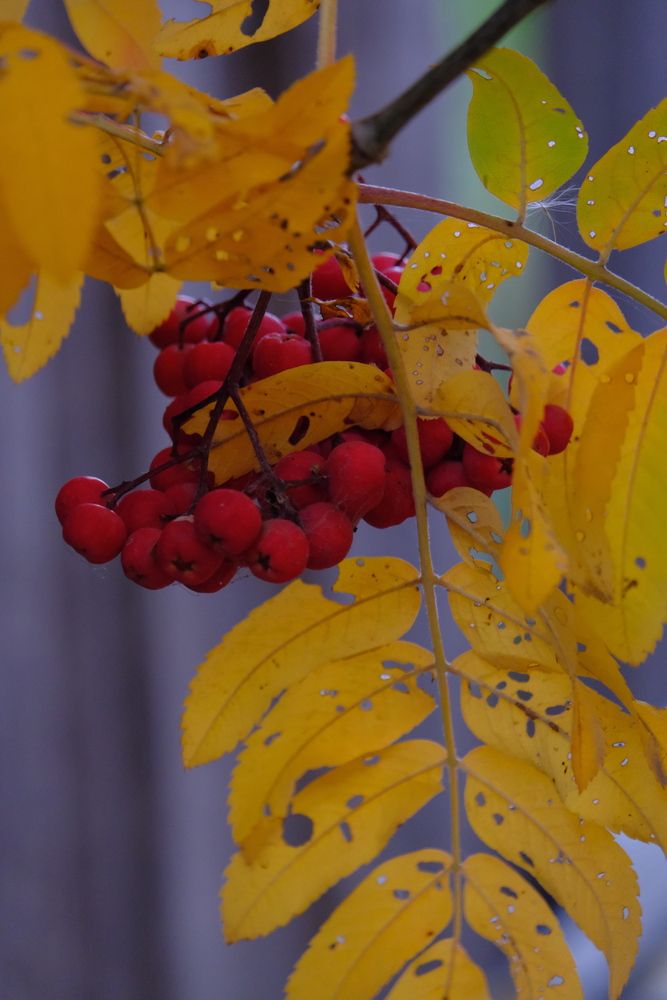 Photograph by Яна Истоцкая